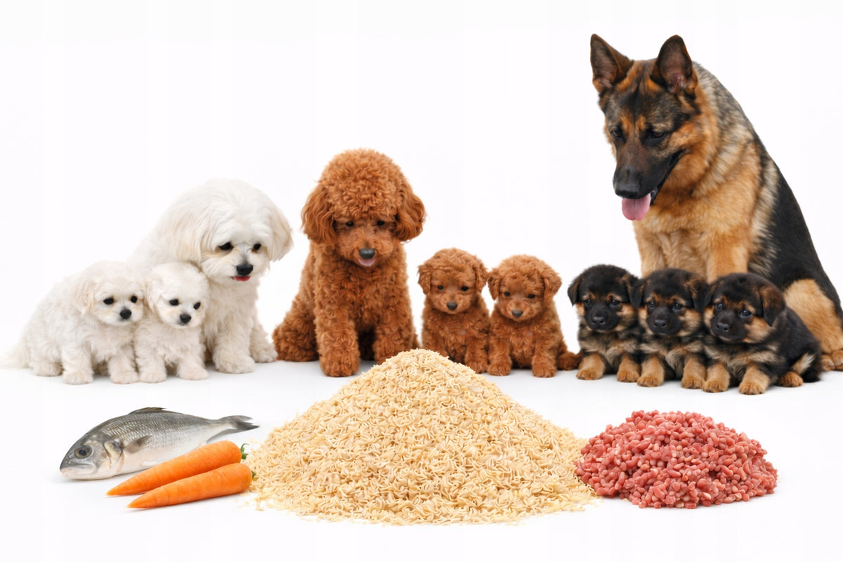 Andi Pasta Instant Clean Cat Dog without Additives Instant Food 11 kg Manufacturer code 11P