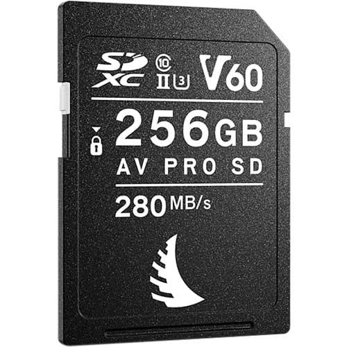 AngelBird AV PRO SDXC 256GB MK2 V60 Memory Card EAN (GTIN) 9120056584895