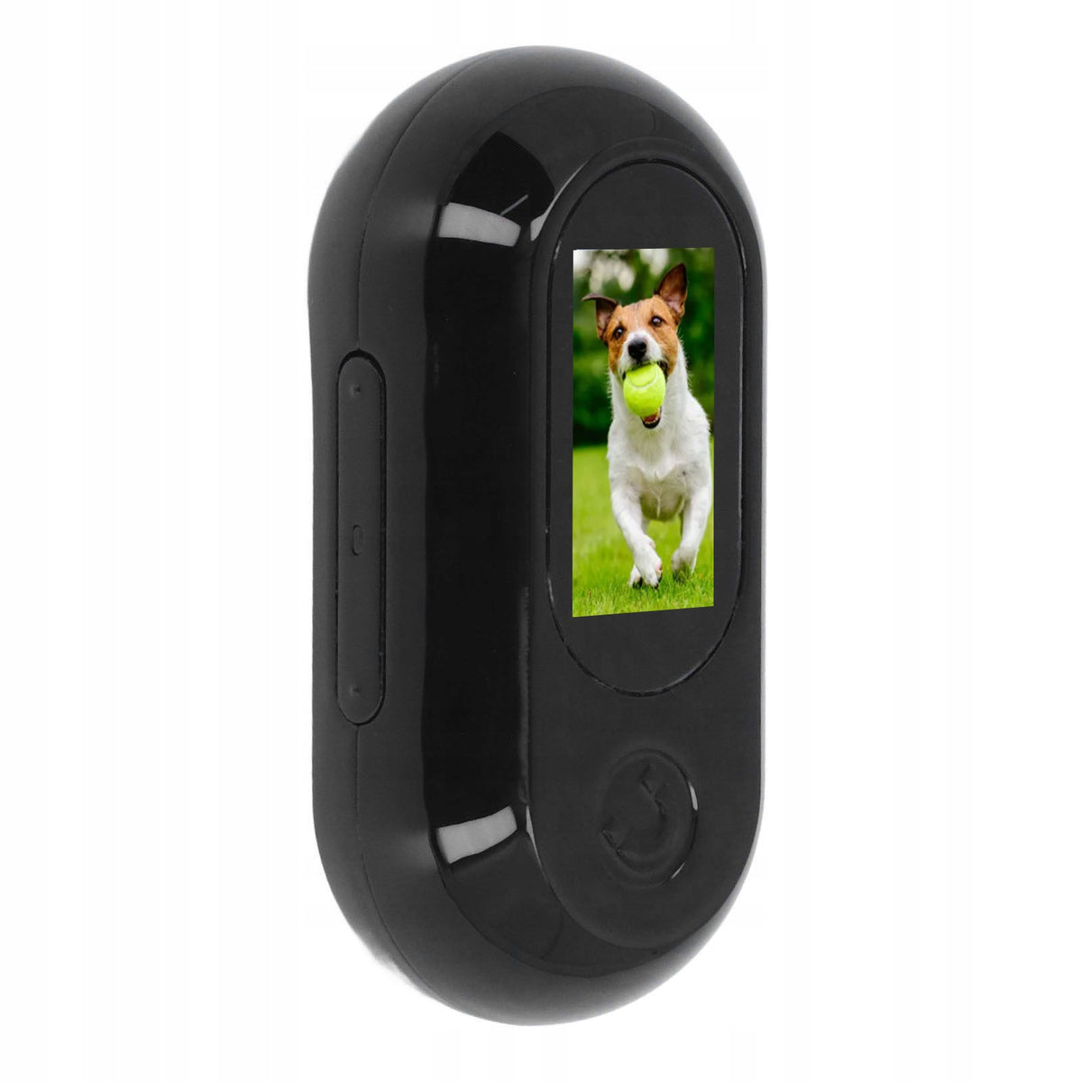 Animal Collar Camera 120 Degree Lens OTG W2 Connection