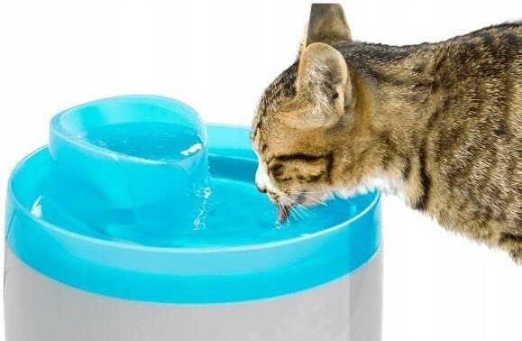 Animal Fountain Water Drinker 2L
