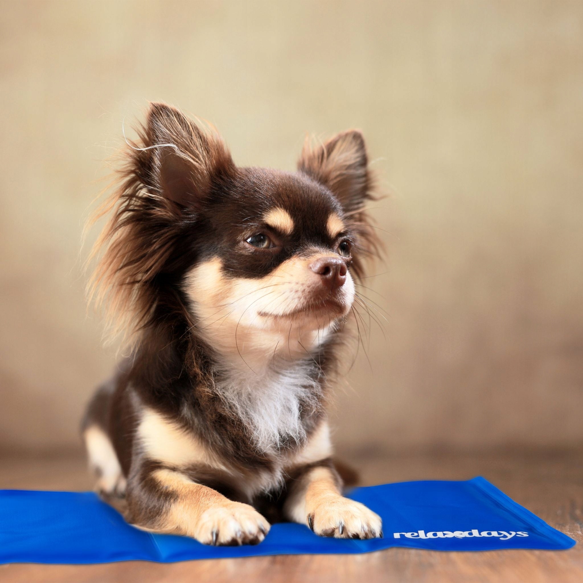 Animal Gel Cooling Mat Perfect for Heat. Size S 40*50cm Brand no brand