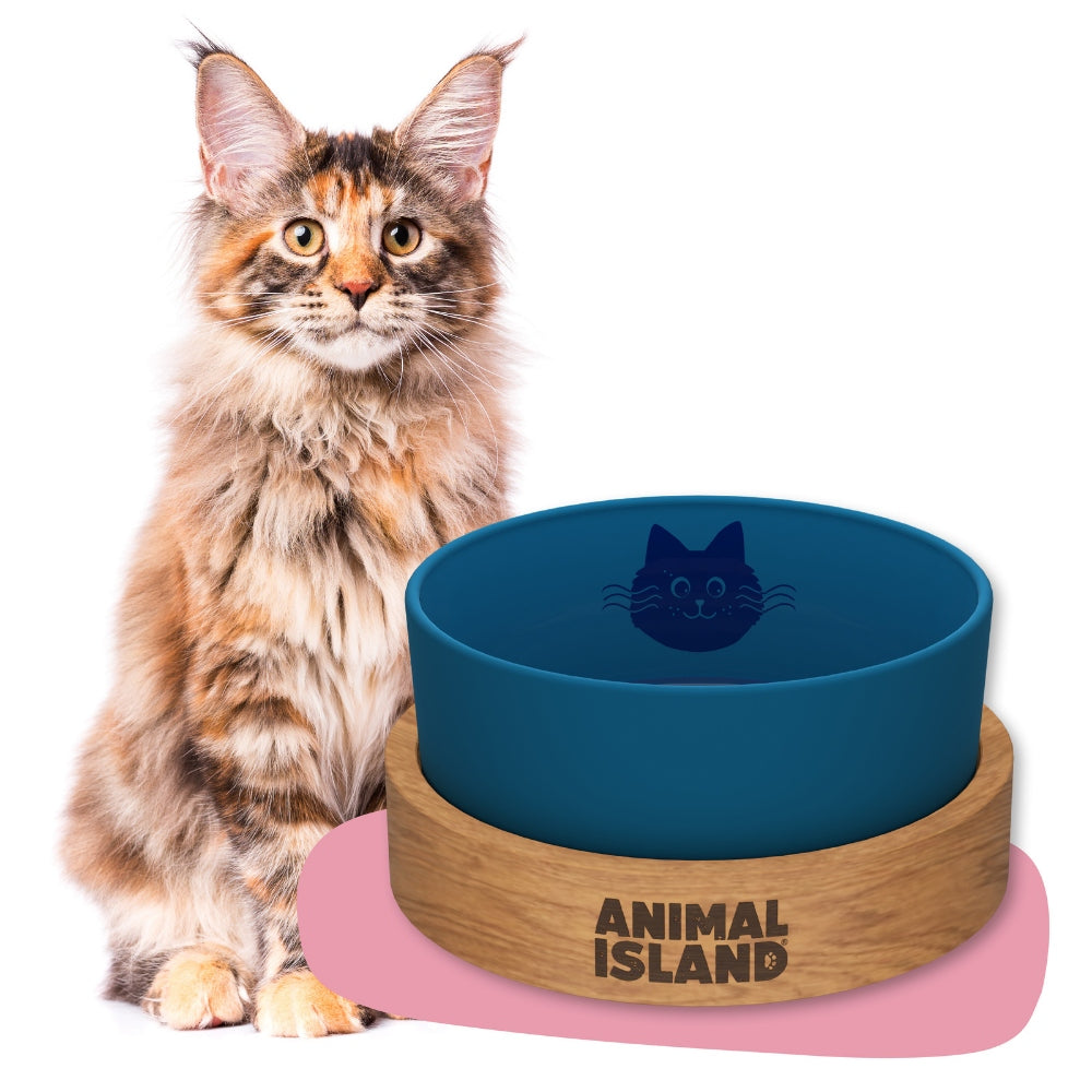 Animal Island Cat Bowl S 900ml Deep Sea Blue