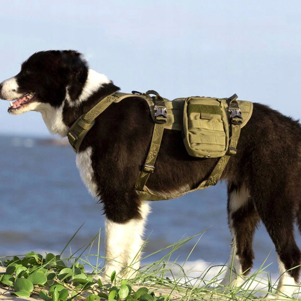 Anti-escape Harness Winhyepet L dog backpack Size L