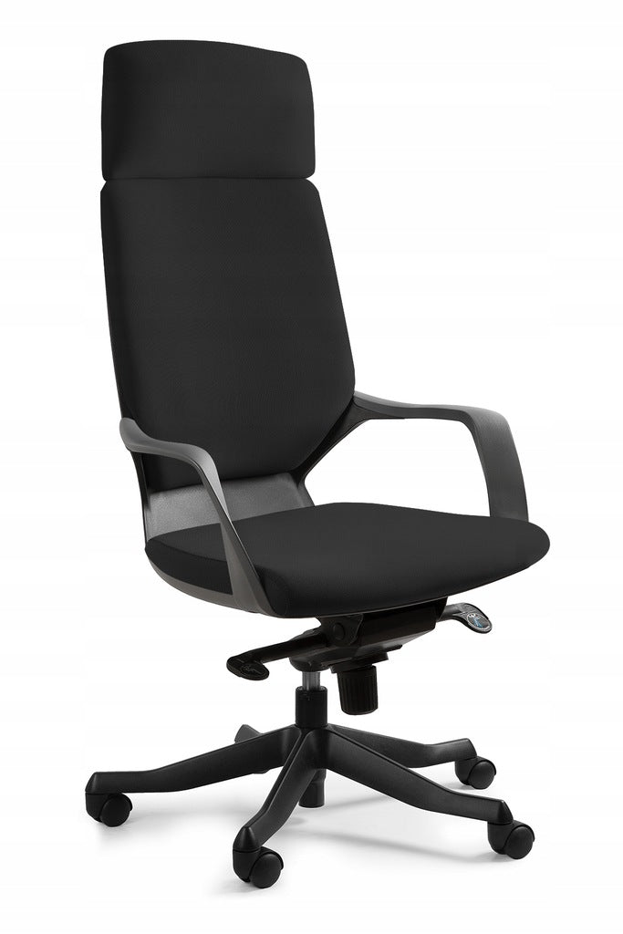 Apollo ergonomic office chair - black/BL418