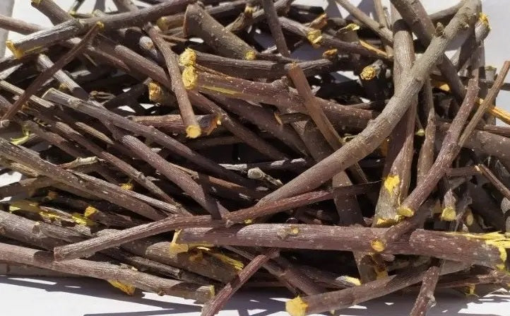 Apple Branches 100g Animal Herbal Feed