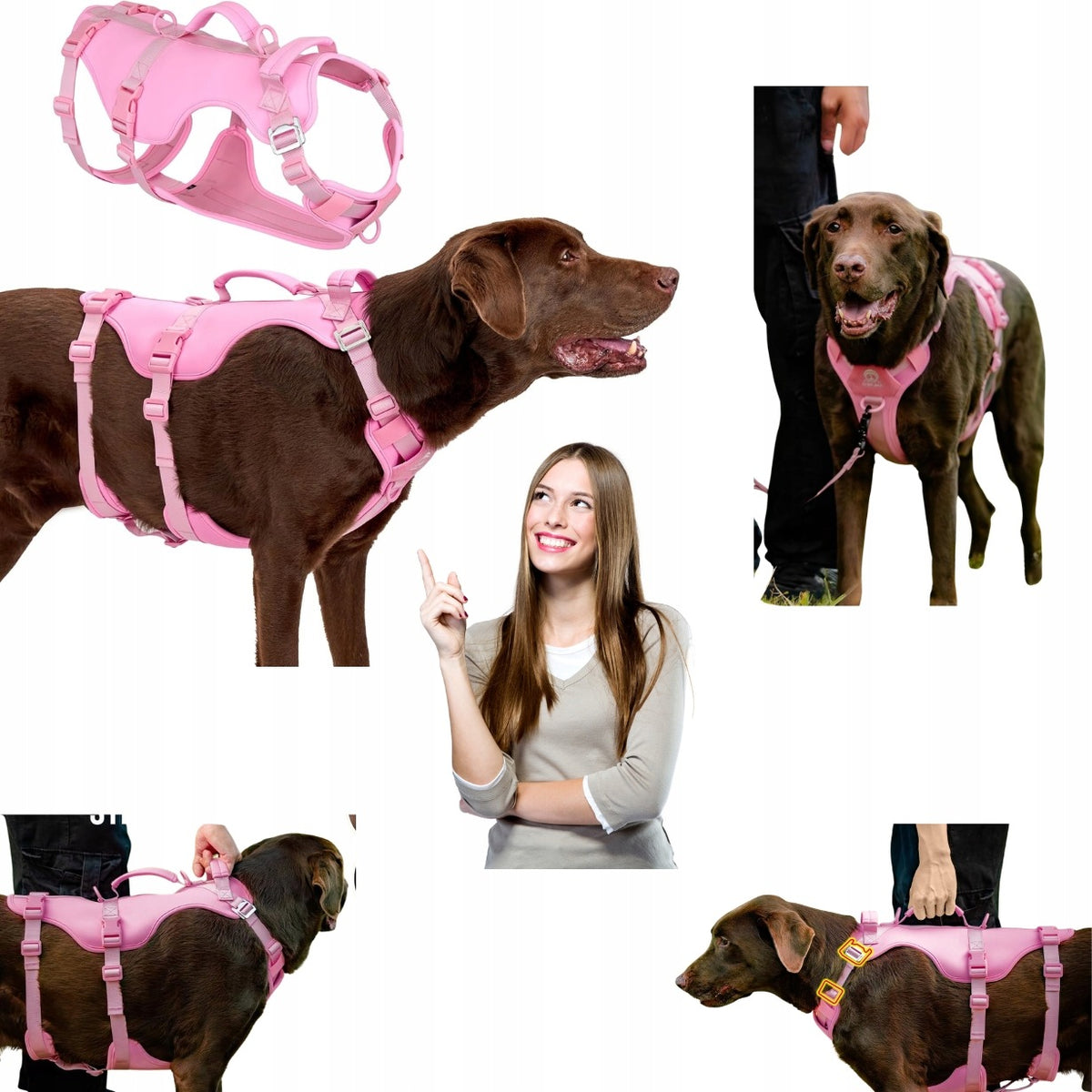 Arblina Dog Harness Safe Against Escape Pink Size L