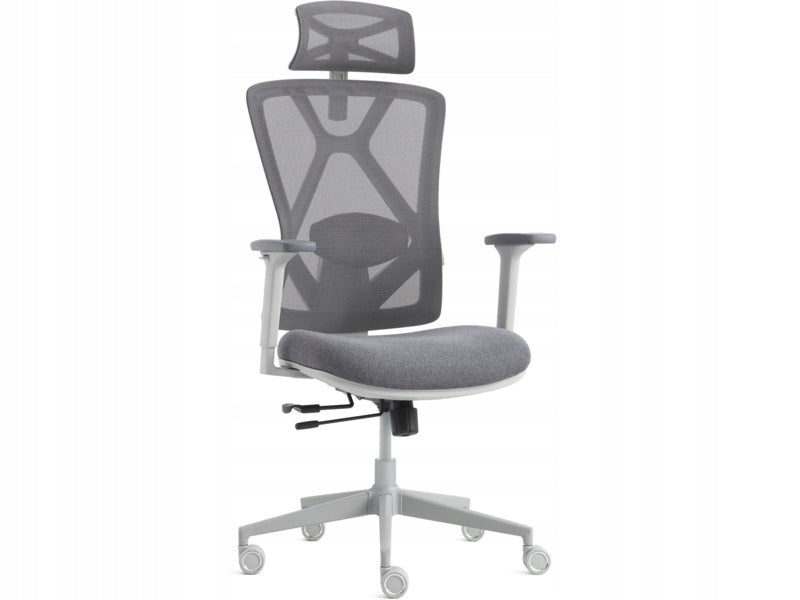 Armchair GAMVIS ErgoMaster XL Grey