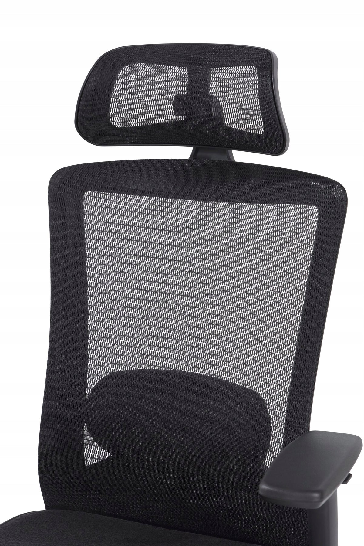 Armchair GAMVIS ErgoThrone XL Black Brand Gamvis