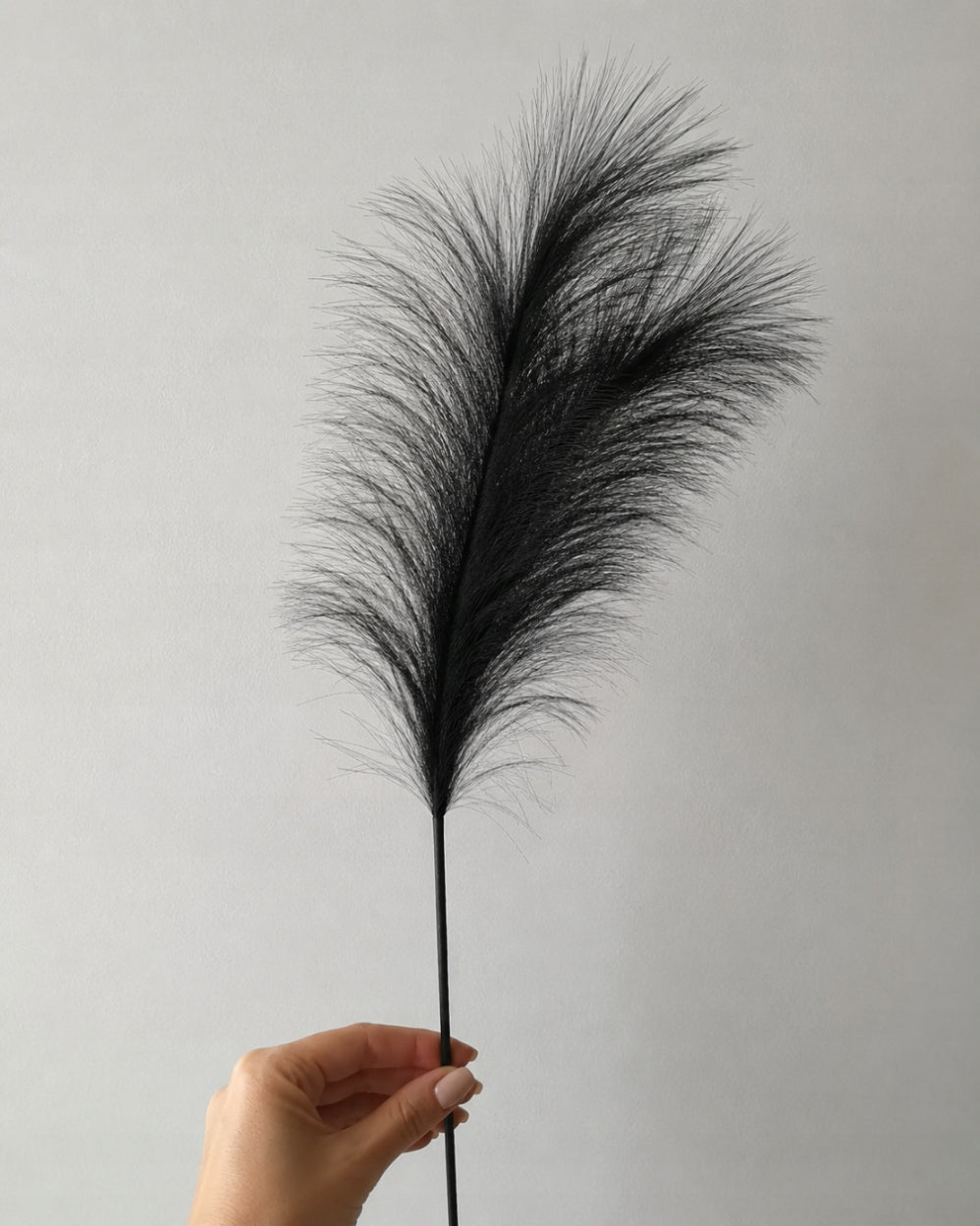 Artificial pampas grass black 55 cm for vase bouquet decoration Manufacturer no brand