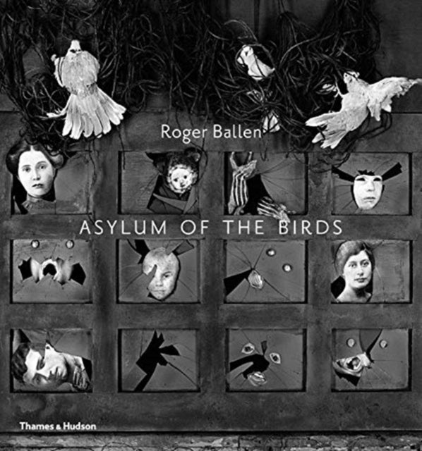 Asyl der Vögel 