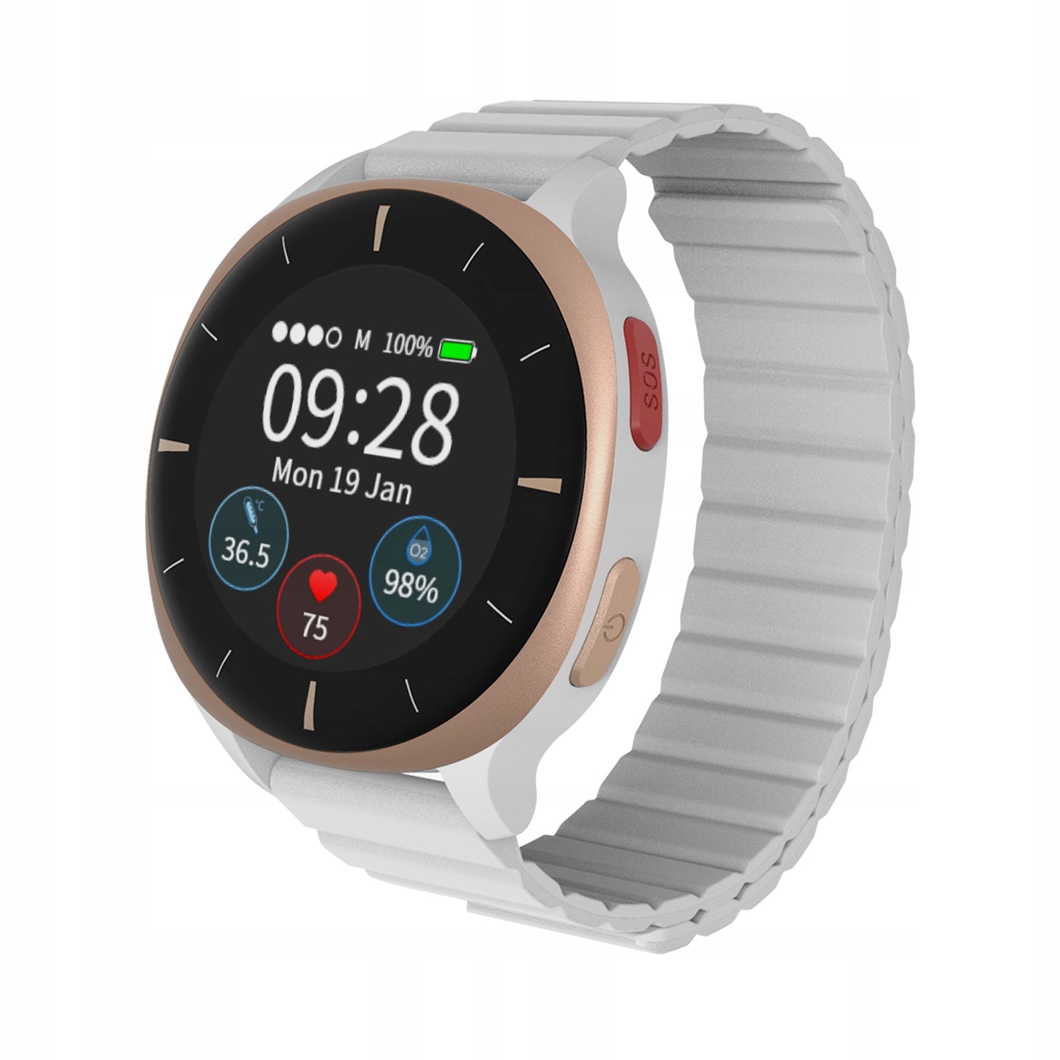 Audar E2-GR Watch Health Monitor 24/7 SOS Alert Fall Detection
