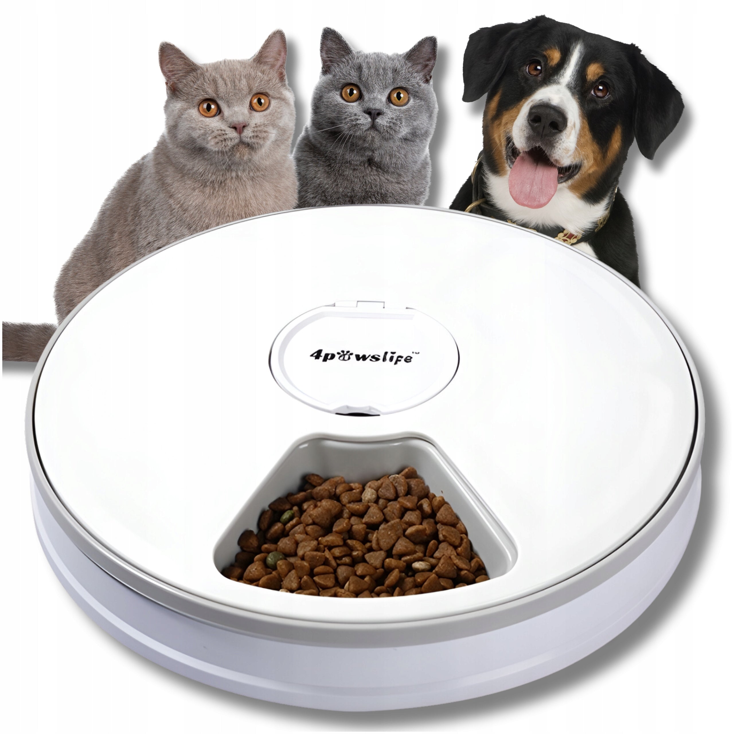 Automatic Cat Food Feeder Rabbit Cat Food Dispenser Bowl