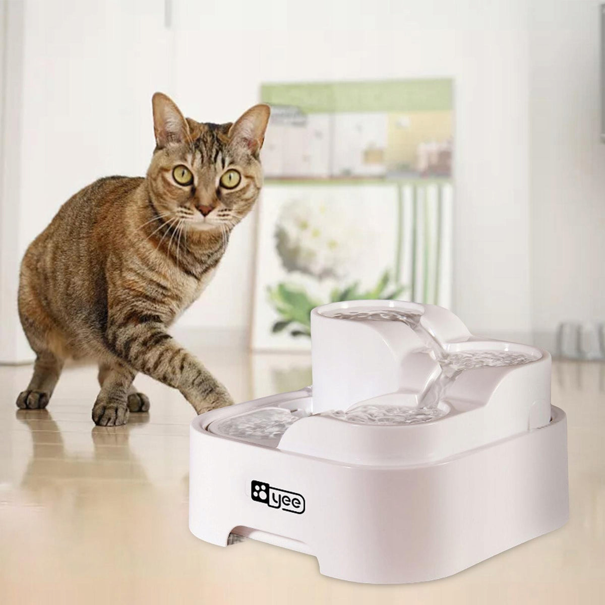 Automatic Pet Cat Water Fountain Water Dispenser Quiet Waterer Portable USB Kind automatic feeder