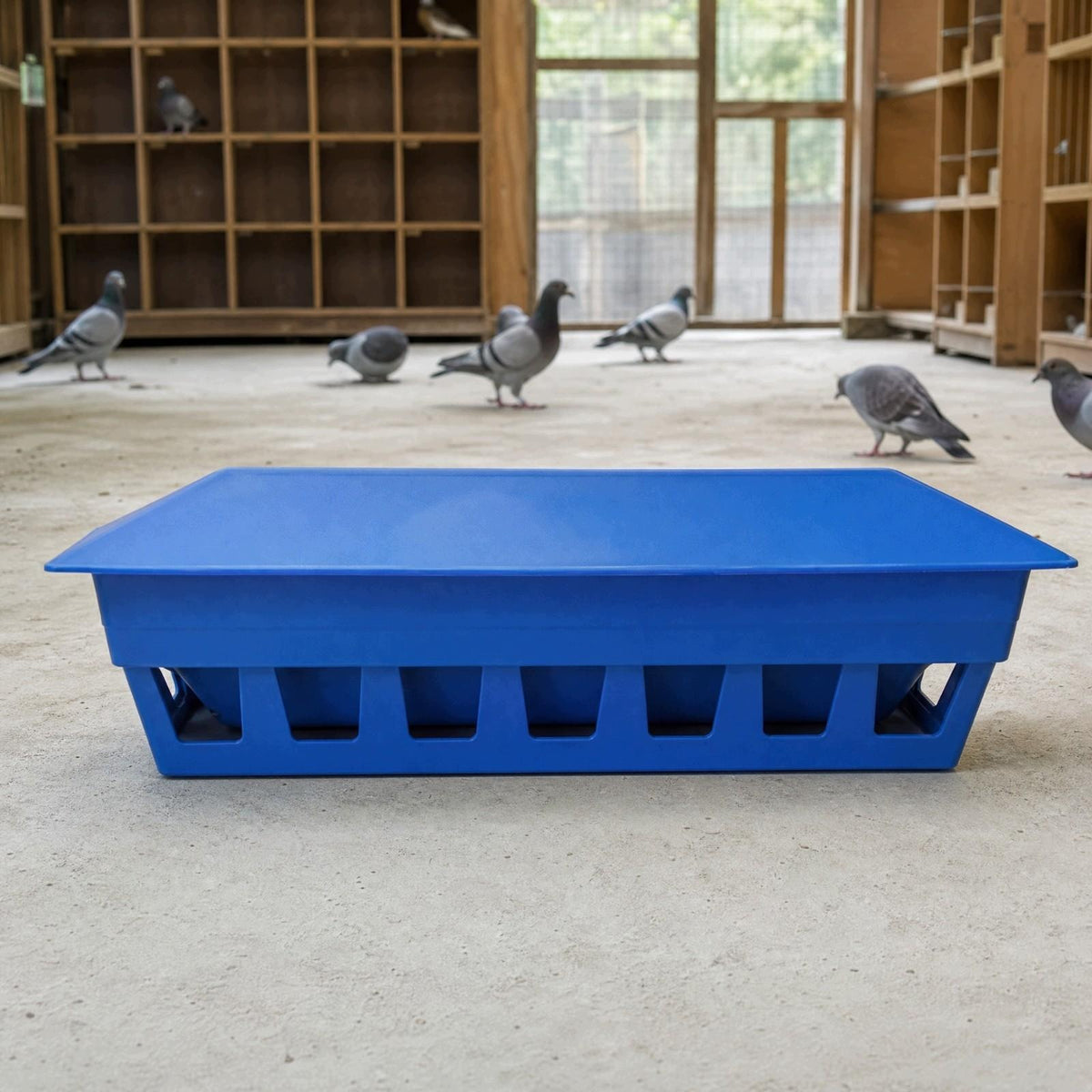 Automatic Pigeon Feeder Convenient Refill Pigeon Feeder Auto Trough 60CM Manufacturer code 02064136685