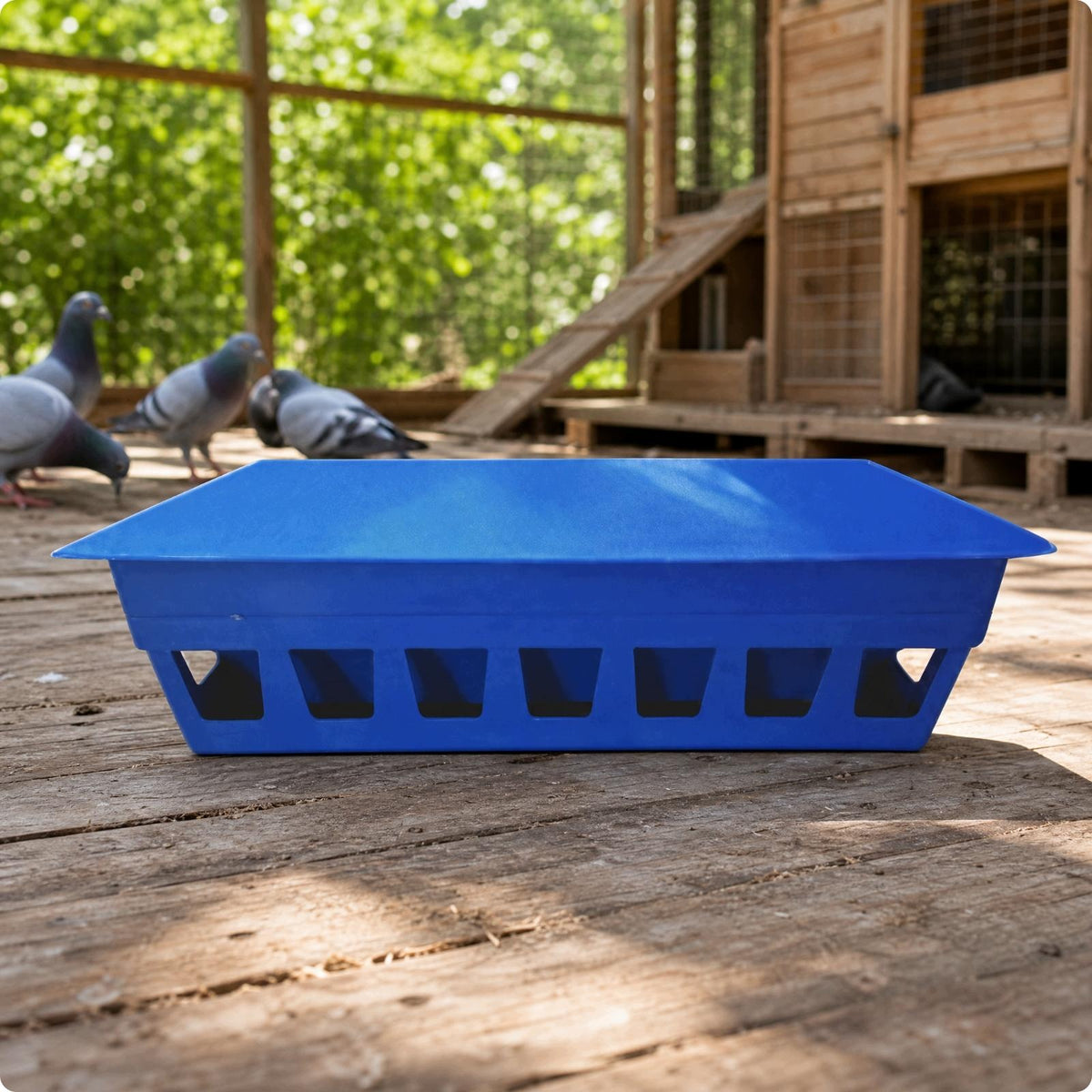 Automatic Pigeon Feeder Convenient Refill Pigeon Feeder Auto Trough 70CM