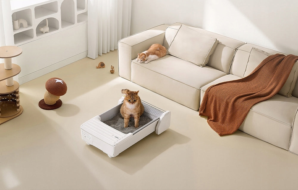 Automatic Smart Self-Cleaning Cuvette UBPet For Cat Open Brand UBPet