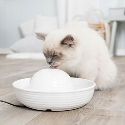 Automatic cooling drinker Vital Flow with fountain Trixie white 0,8l 24468 Device type pet drinking fountain
