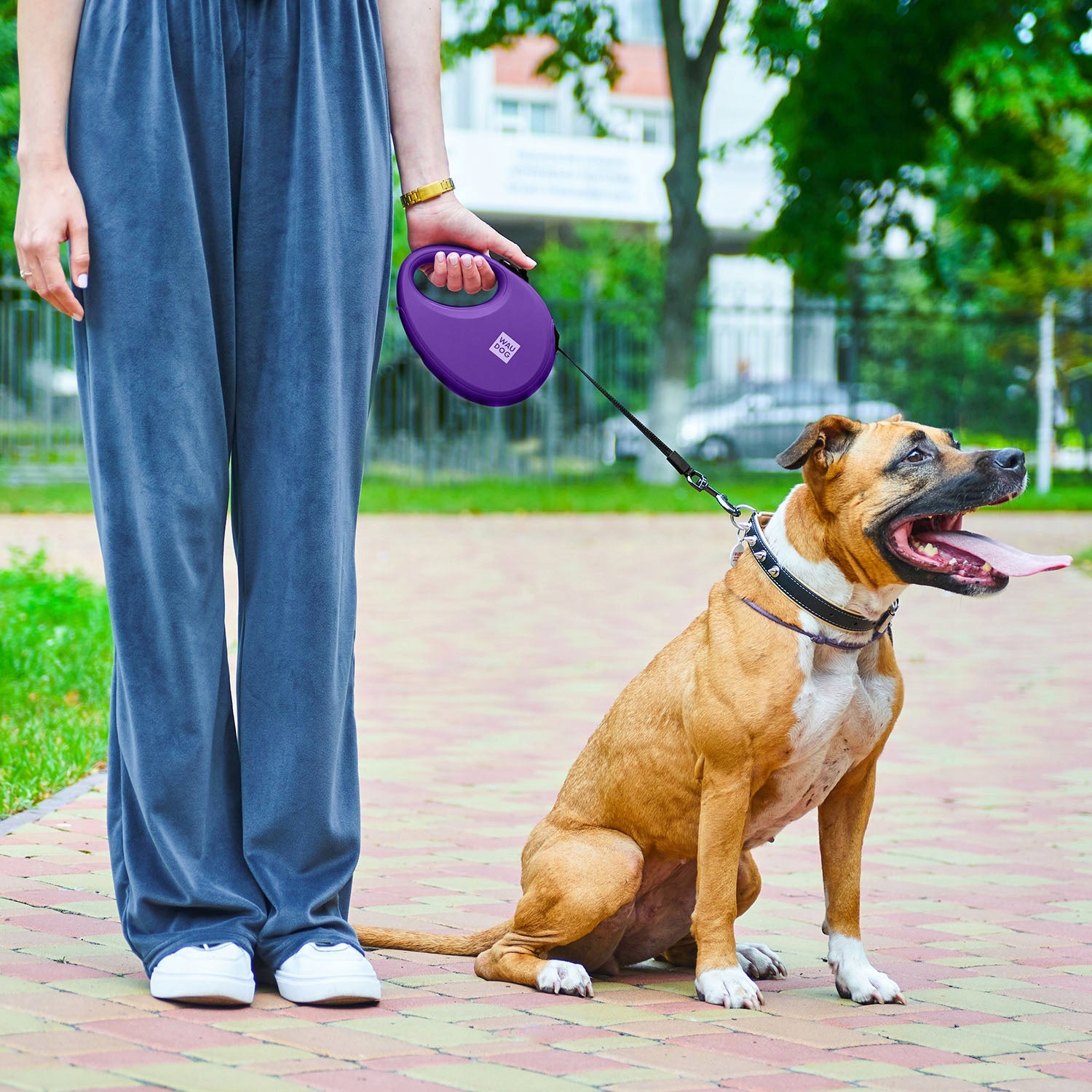 Automatic dog leash with bag container purple, r. S, up to 12 kg Brand Waudog