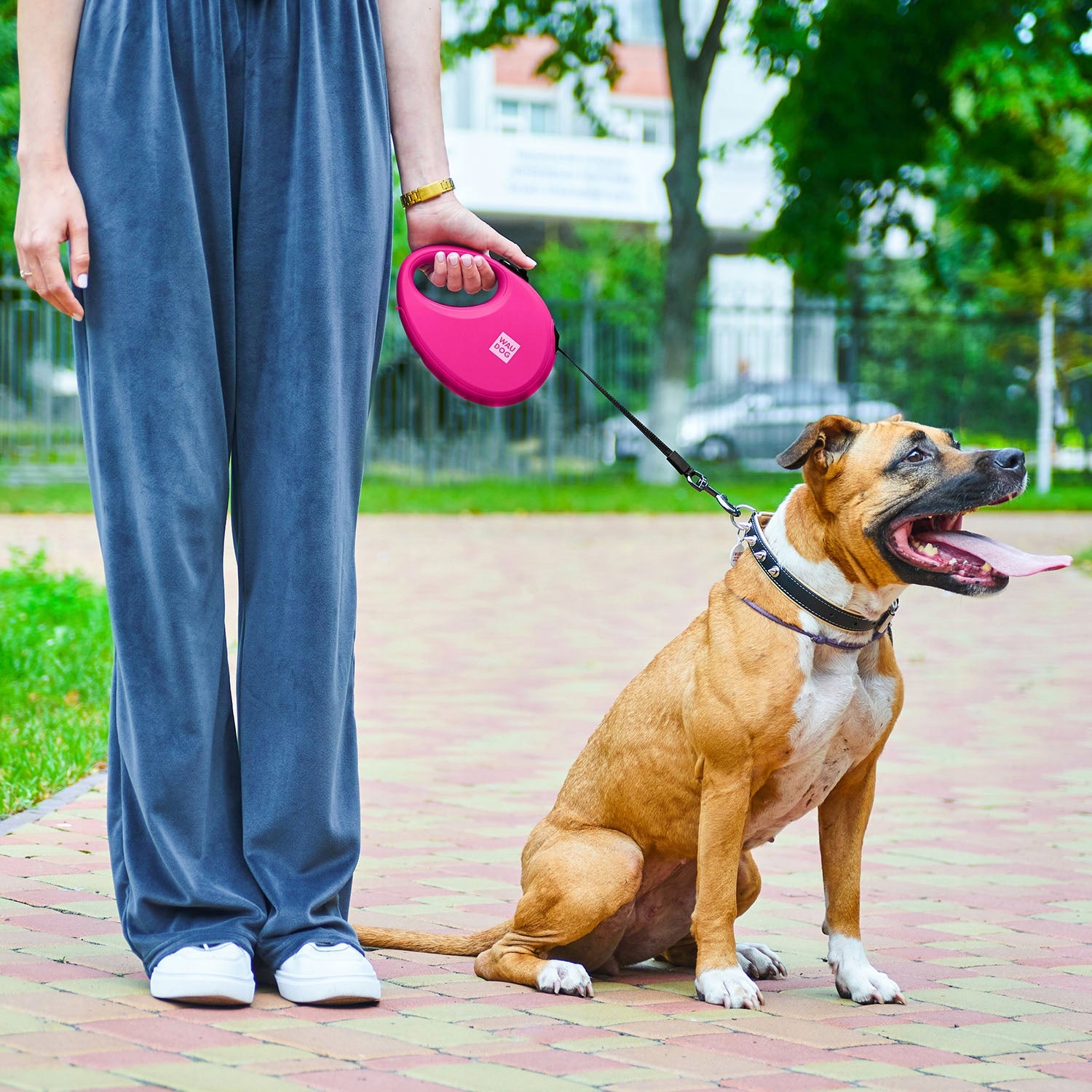 Automatic dog leash with reflective bag container, M, up to 20 kg Packaging status original
