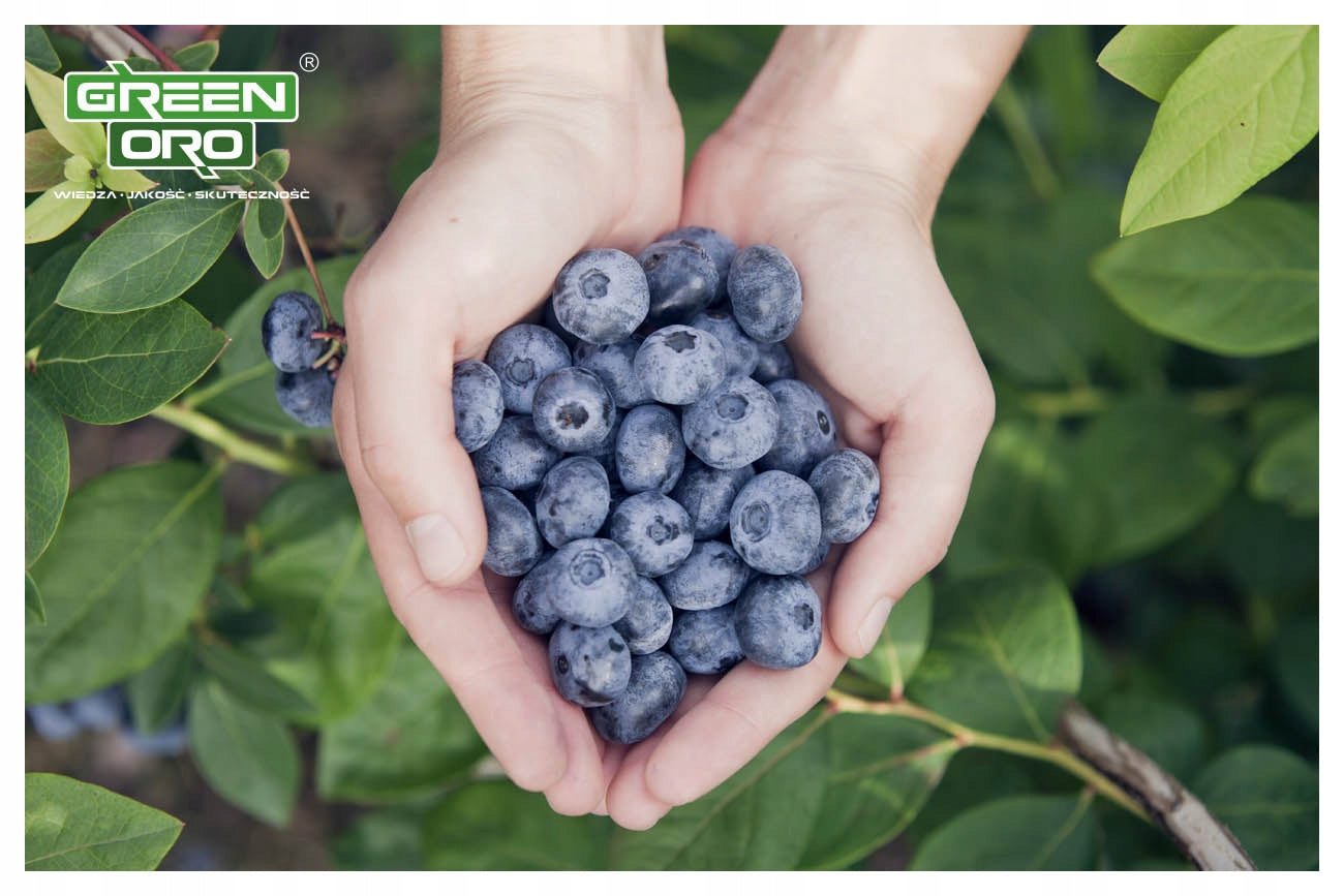 Autumn Fertilizer for Blueberries ACID AKI Long Acting 180 days Packaging status original