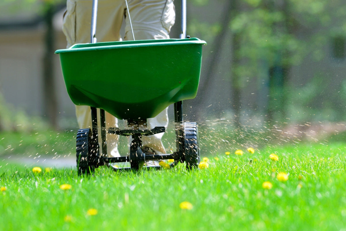 Autumn fertilizer for lawn GARDEN 2001 Siarkopol 25kg Manufacturer Siarkopol