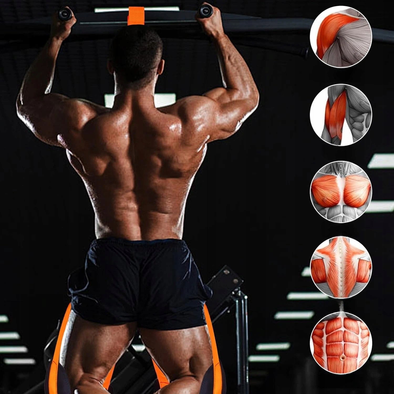 Auxiliary Rubber Bands Pull Up Training Belts Adjustable 75-225lbs Packaging status original