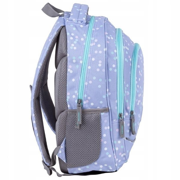 BACKPACK DERFORM BACKUP 4 MODEL X 87 1pcs Brand Back Up
