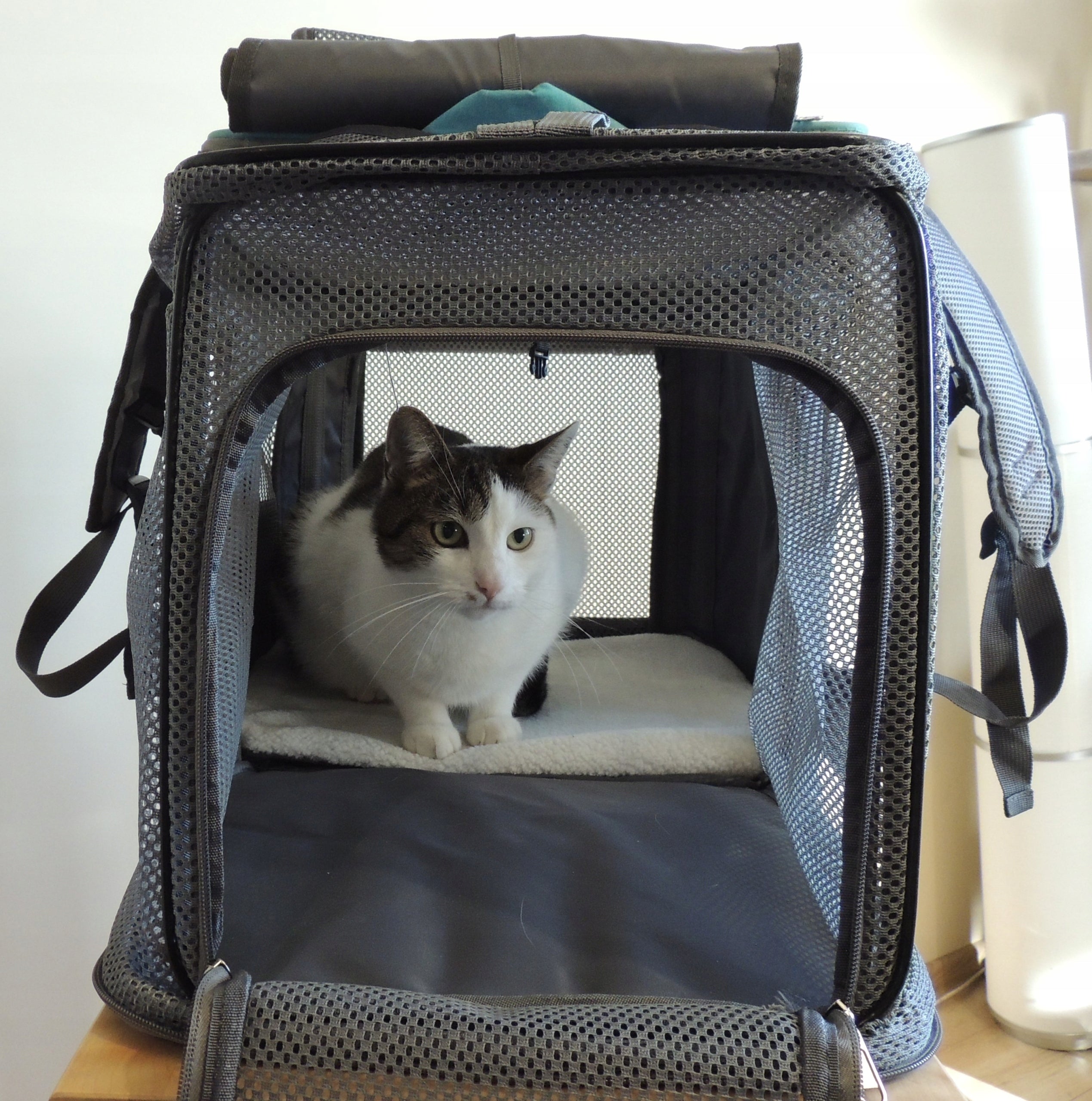 BACKPACK TRANSPORTER DOG CAT BAG FOLDING PLAYPEN XL Material other