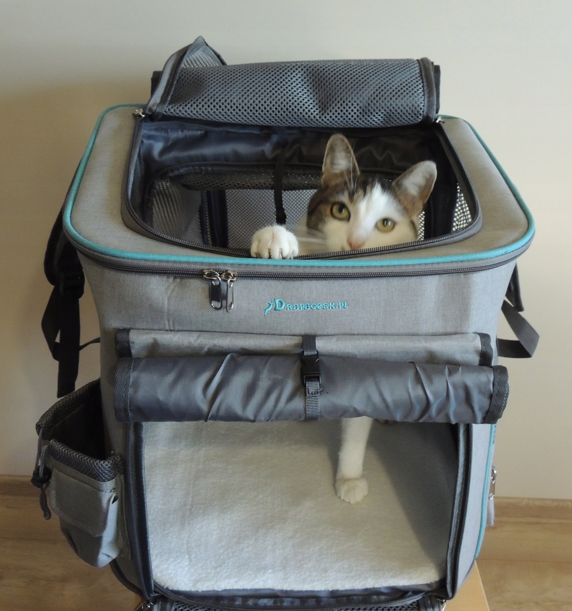 BACKPACK TRANSPORTER DOG CAT BAG FOLDING PLAYPEN XL Trade name 7908002425582
