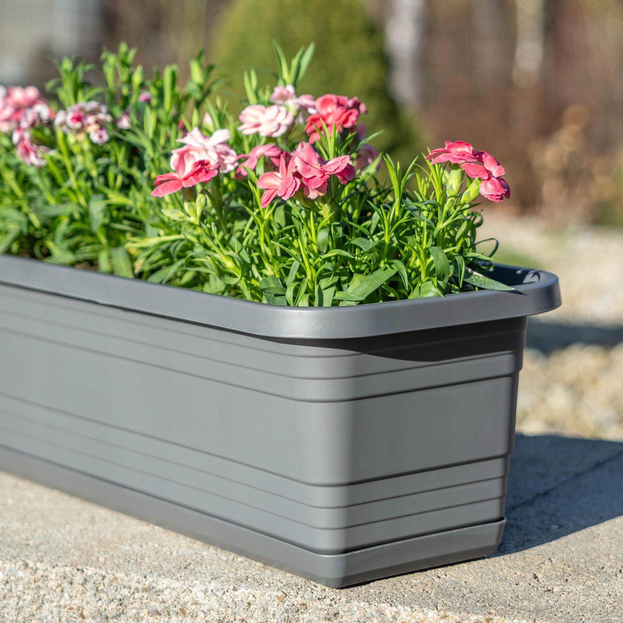 BALCONY FLOWER POT BOX FLOWER POT 60cm + STAND ANTHRACITE Brand Kadax