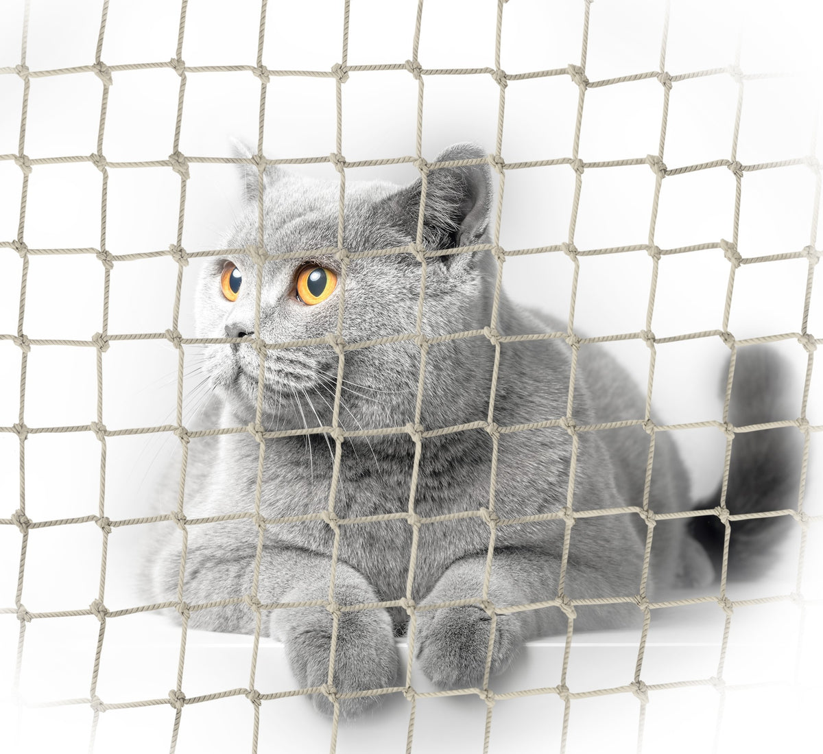 BALCONY NET WITH WIRE PREMIUM 80g/m2 FOR CAT EYELET 30mm TO SIZE