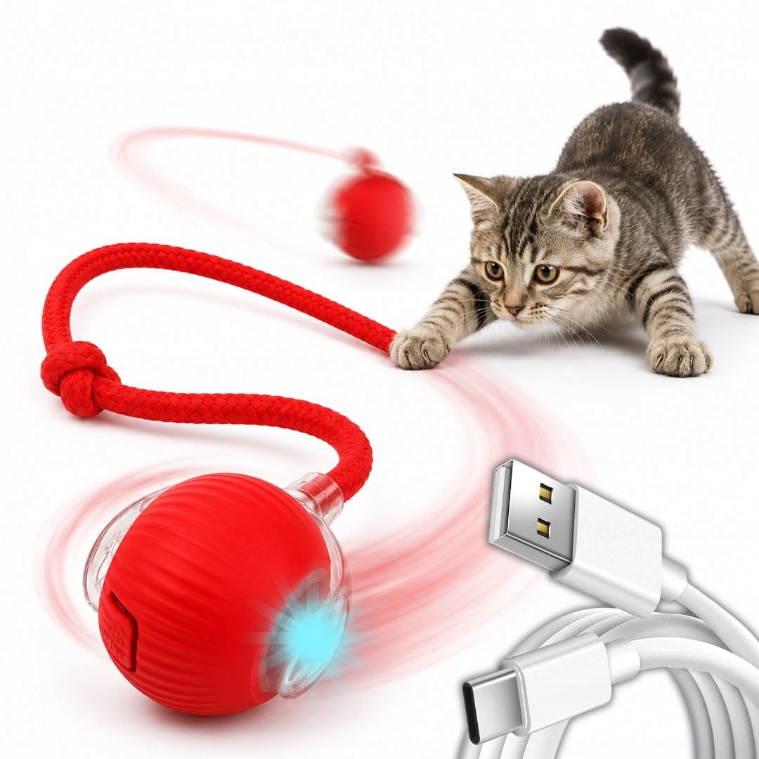 BALL CAT TOY LED INTERACTIVE ESCAPING FOR INDEPENDENT PLAY