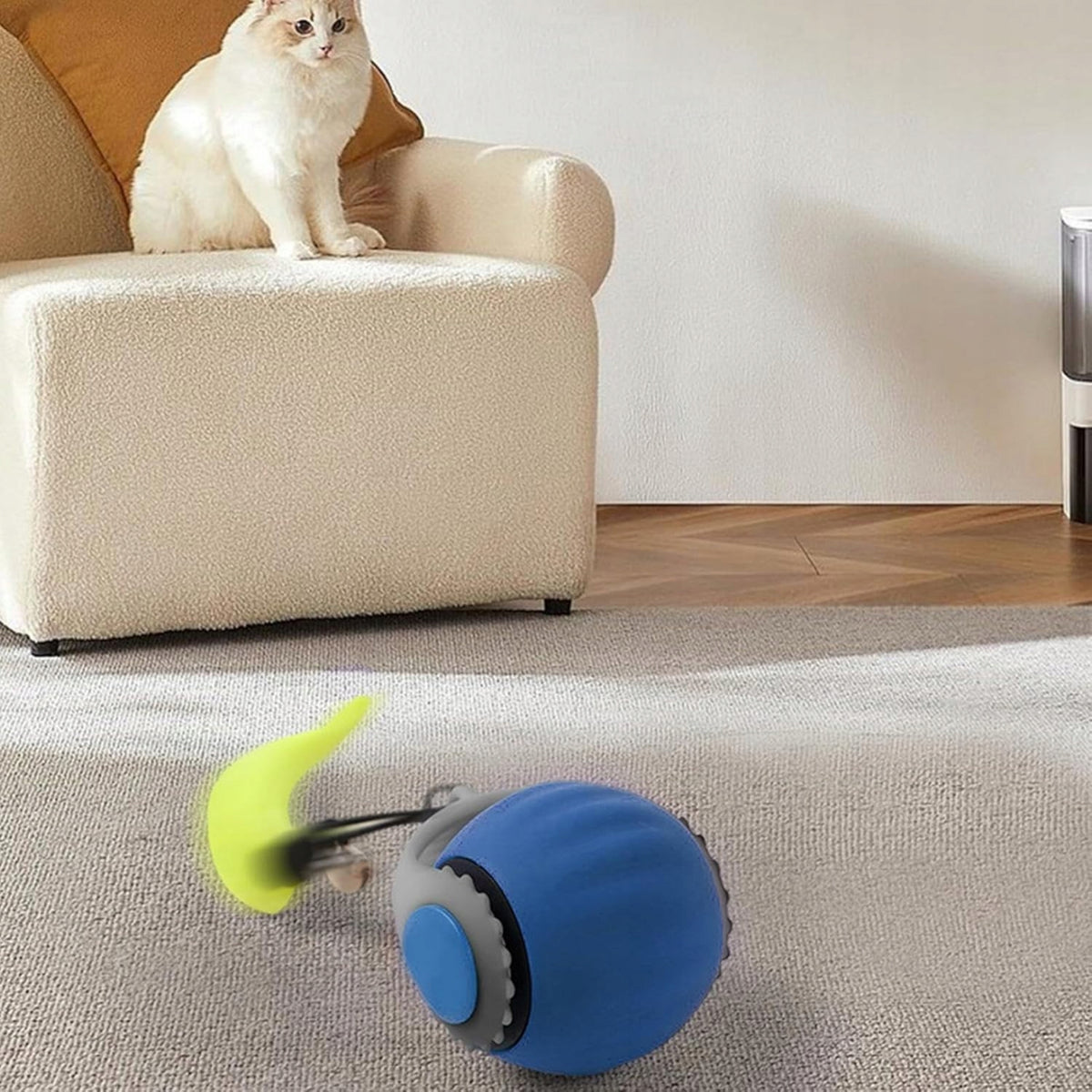 BALL INTERACTIVE TOY for cat dog USB electric vibration Kind balls