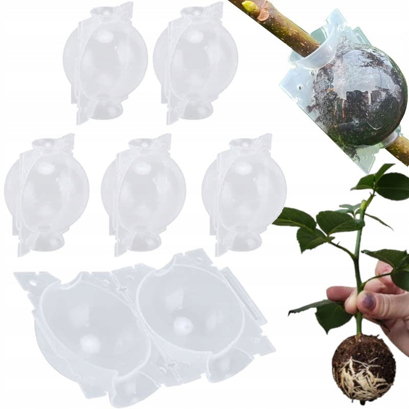BALLS FOR ROOTING ROSES AND PROPAGATION OF SEEDINGS BALL AIR NECKS 5 pcs
