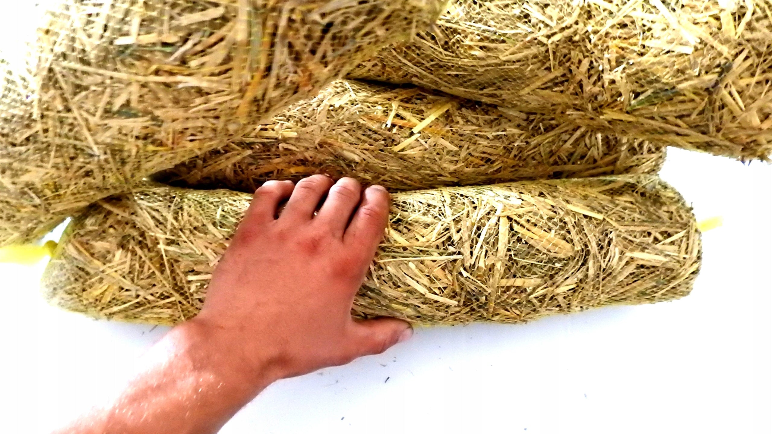 BARLEY STRAW -4 PCS NATURAL ANTIALGAE FOR POND MESH PACKED IN MESH