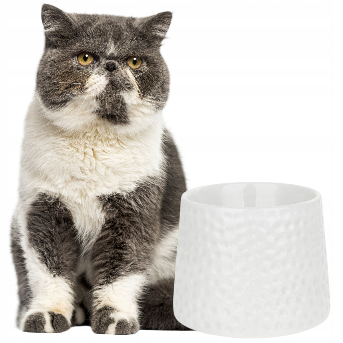 BARRY KING Ceramic bowl raised high cat 11 cm, 300ml