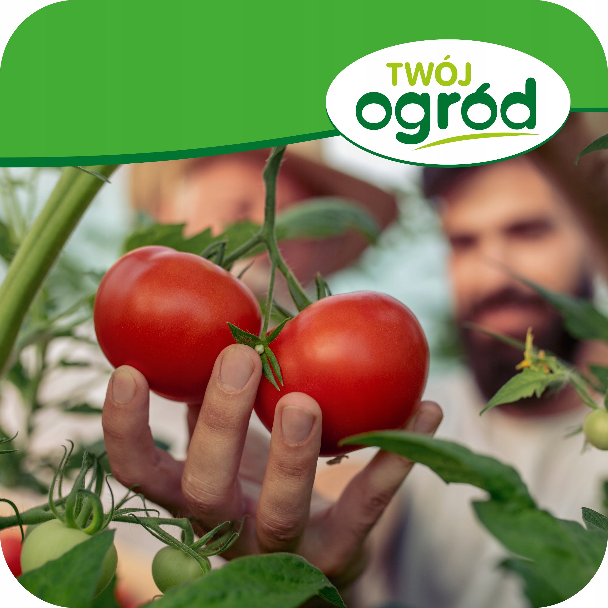 BASALT MEAL 10kg Natural SNAIL BARRIER Fertilizer STRENGTHENS PLANTS Manufacturer Twój Ogród