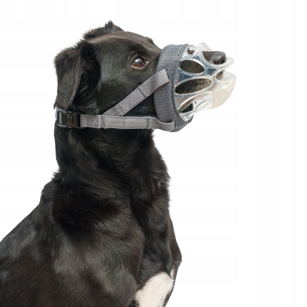 BASKERVILLE INVISA 2 Physiological muzzle for Dog Transparent 23/8cm Packaging status original