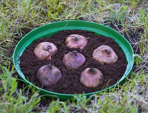 BASKET OSLONKA FOR ONIONS bulbs for soot 20c 10pcs Manufacturer code 8214