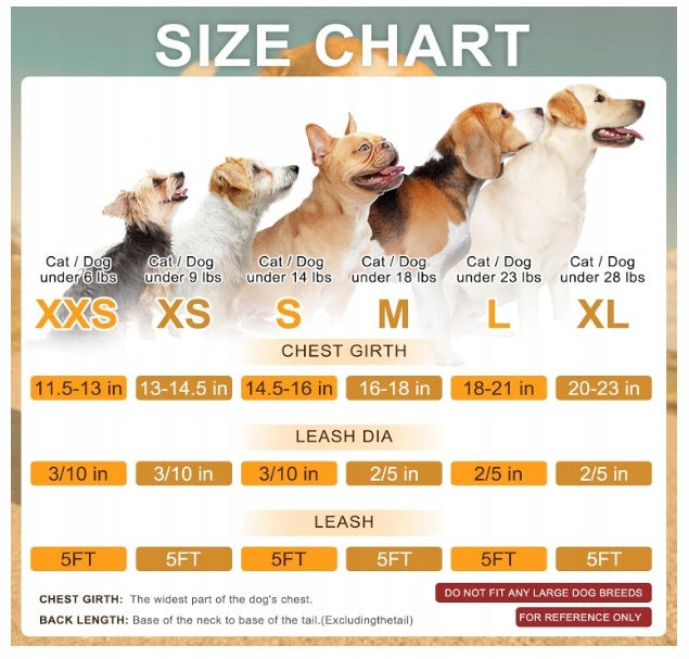 BEAUTYZOO Harness and leash for small dog Step in reflective without pulling Packaging status original