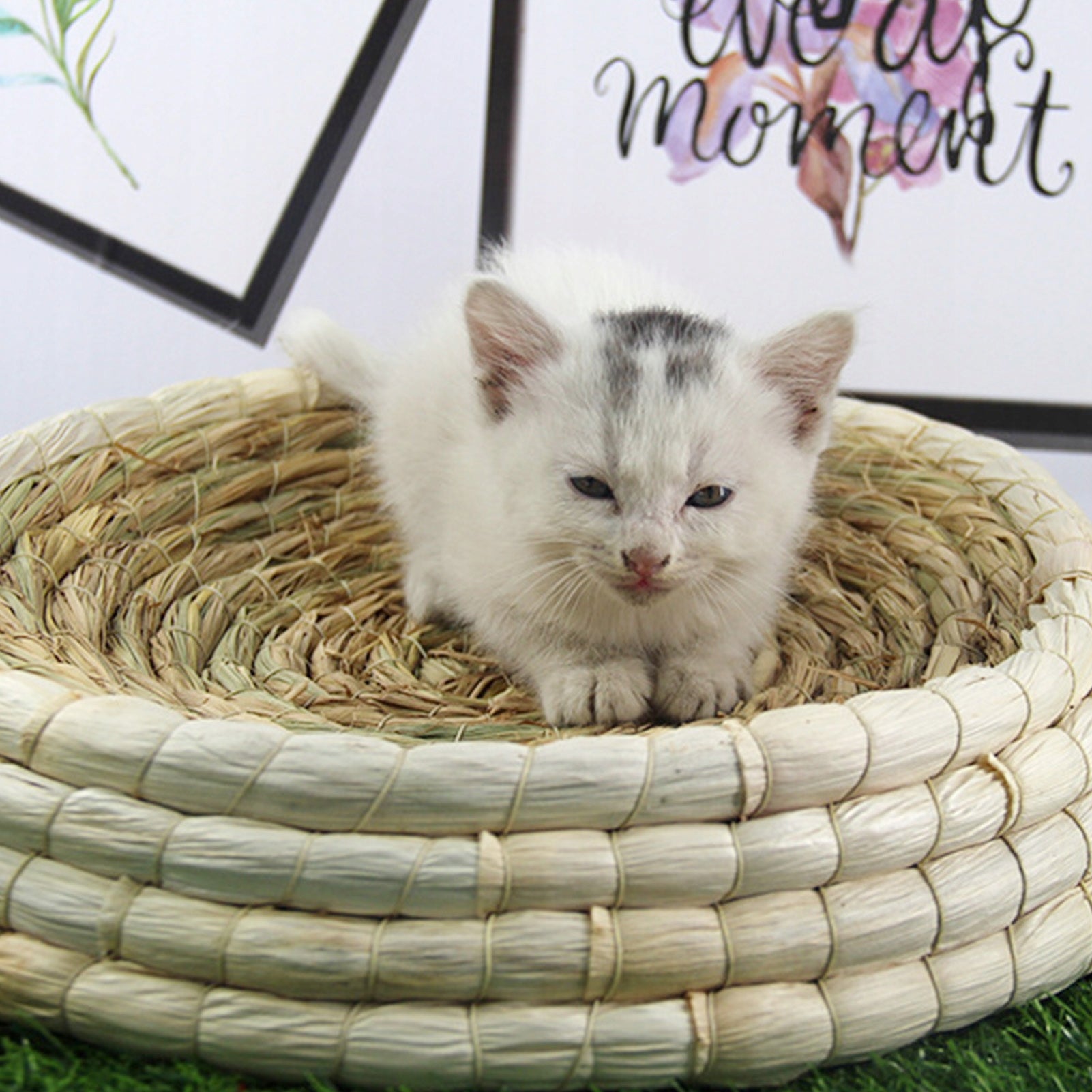 BED CHEST COTTAGE BEDDING FOR CAT 45CM Packaging status original