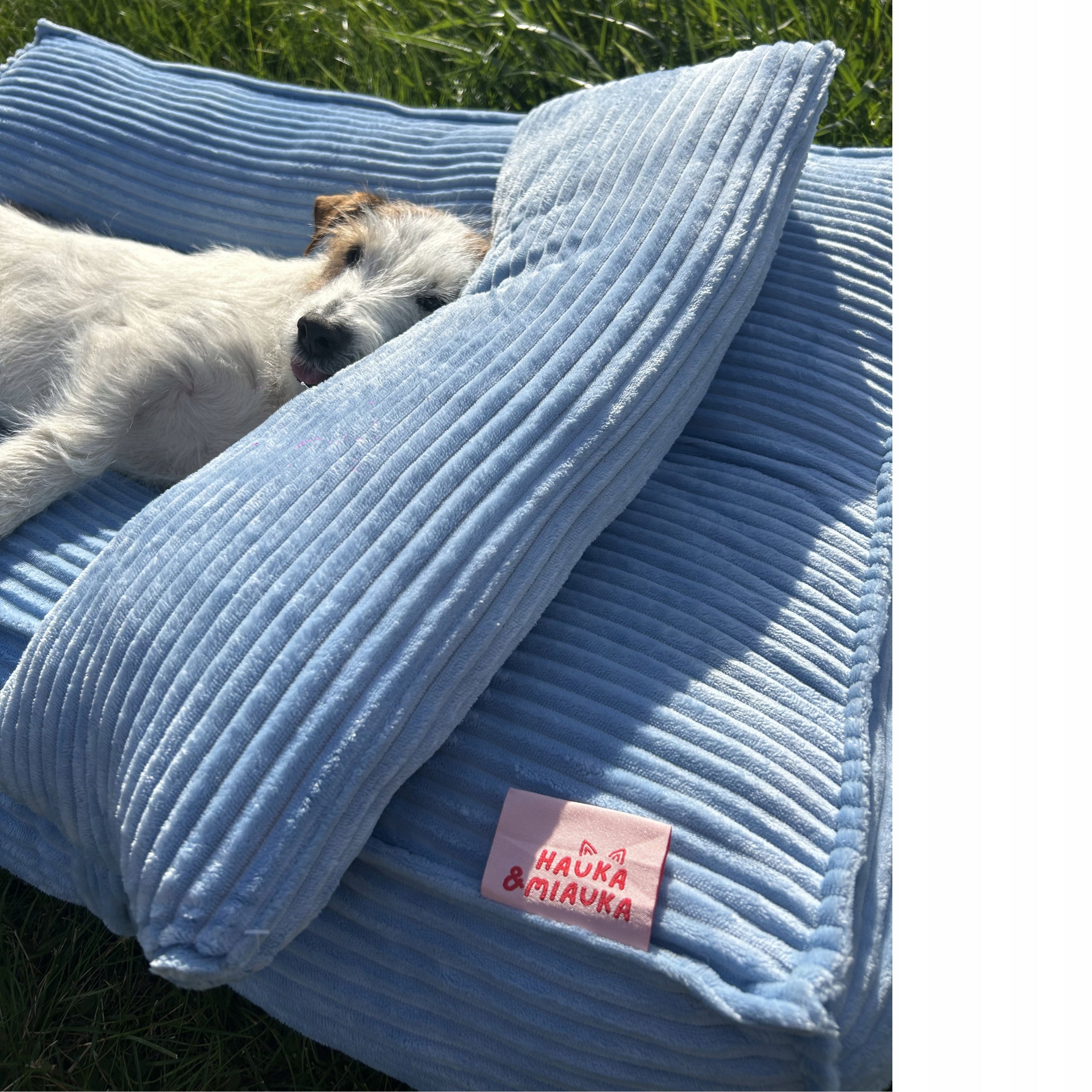 BED Waterproof Cat Dog Bed COUCH 80x60 Mattress Pillow Manufacturer code BL-CH-M-001