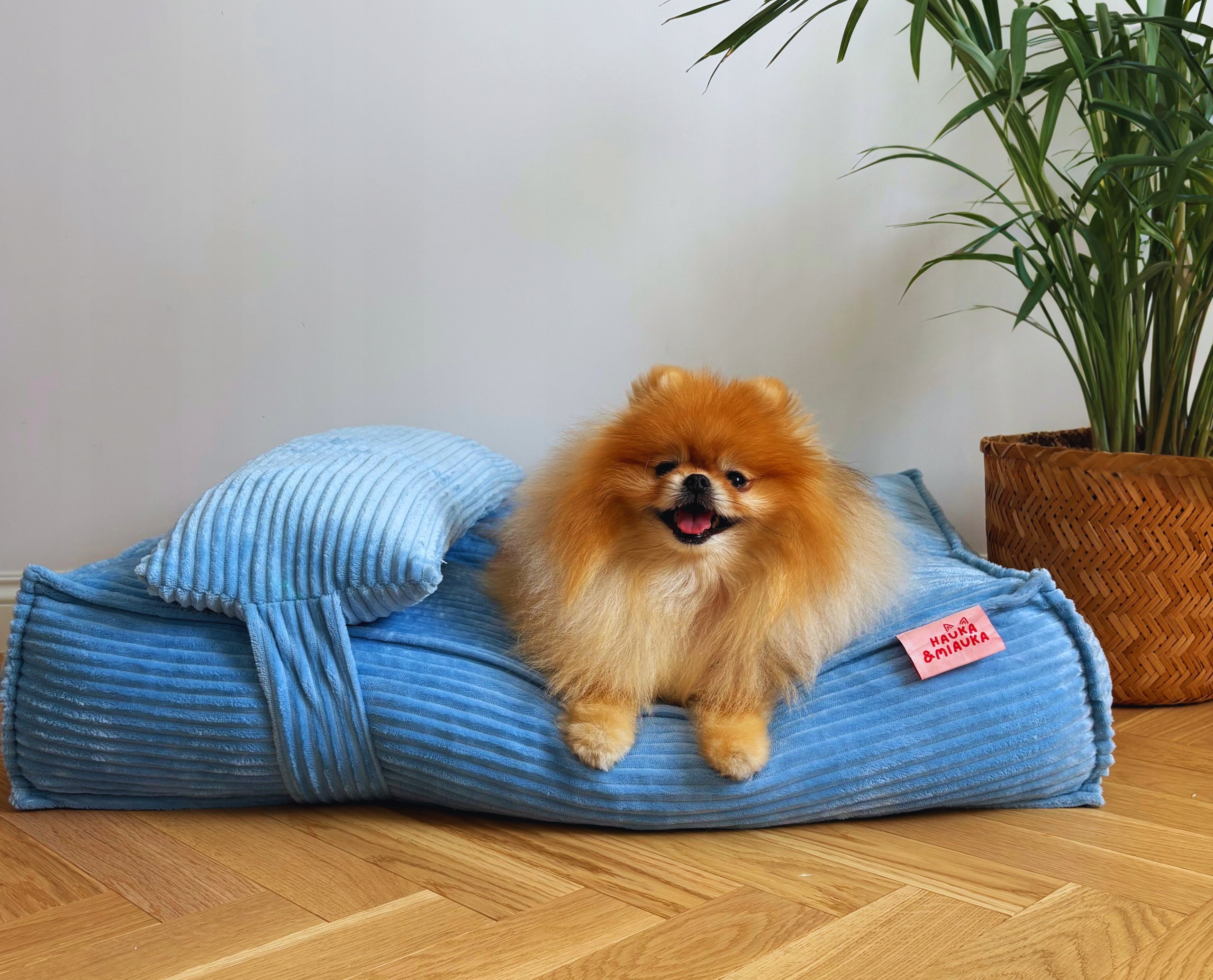 BED Waterproof Cat Dog Bed COUCH 80x60 Mattress Pillow Product width 60 cm