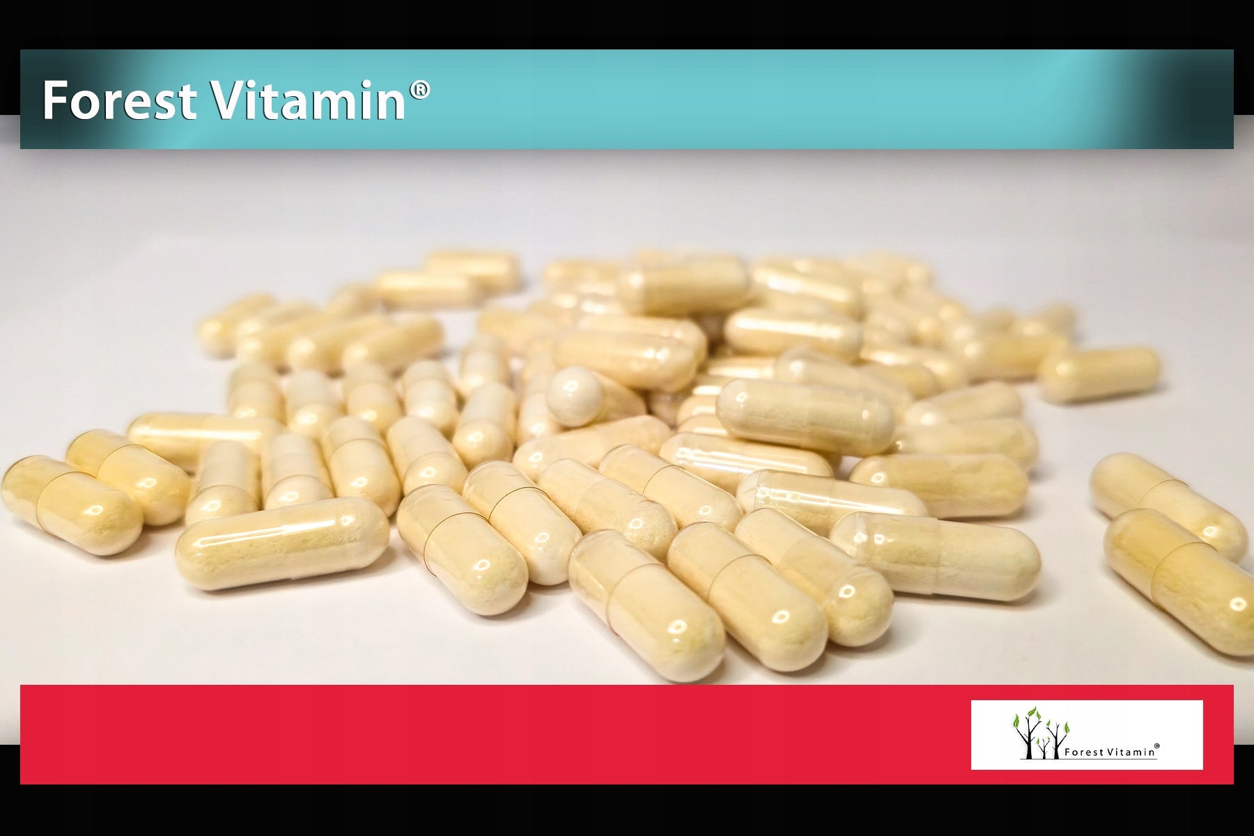 BEEF COLLAGEN 550MG 100 KAPS HYDROLYZED WITHOUT ADDITIVES FOR JOINTS AND SKIN Brand Forest Vitamin