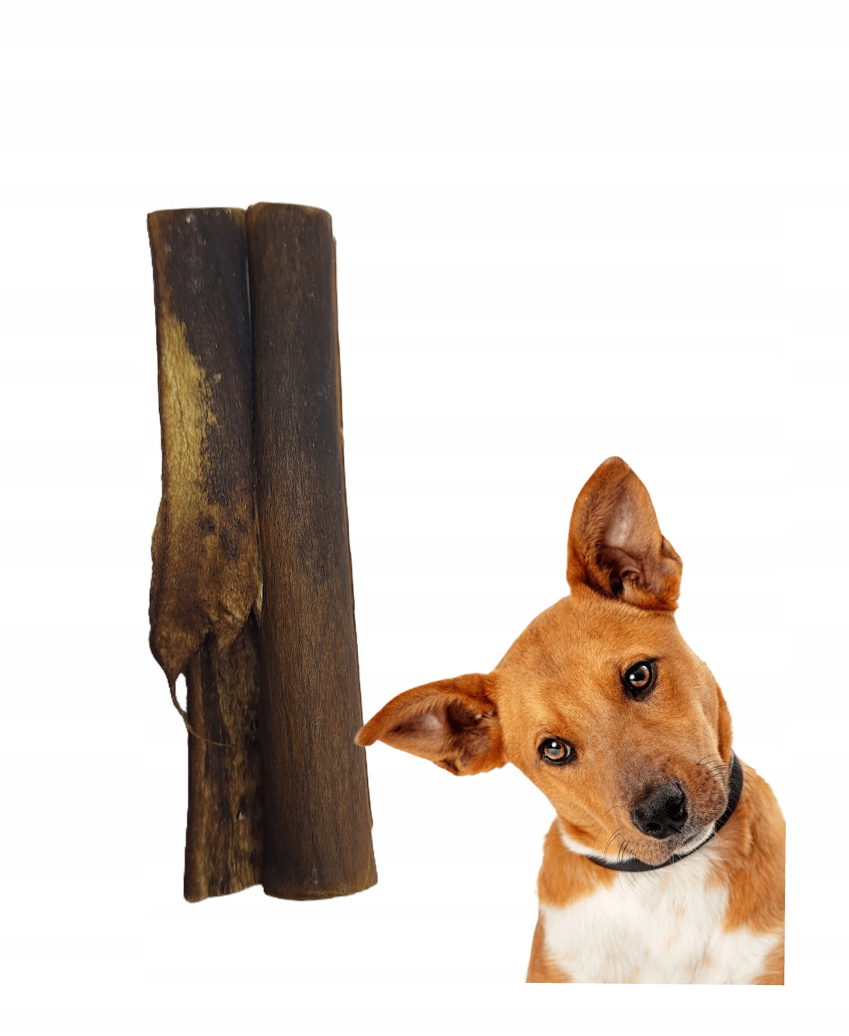 BEEF SKIN FOR DOG NATURAL TEETHER HARD DRIED BEEF FOR PET