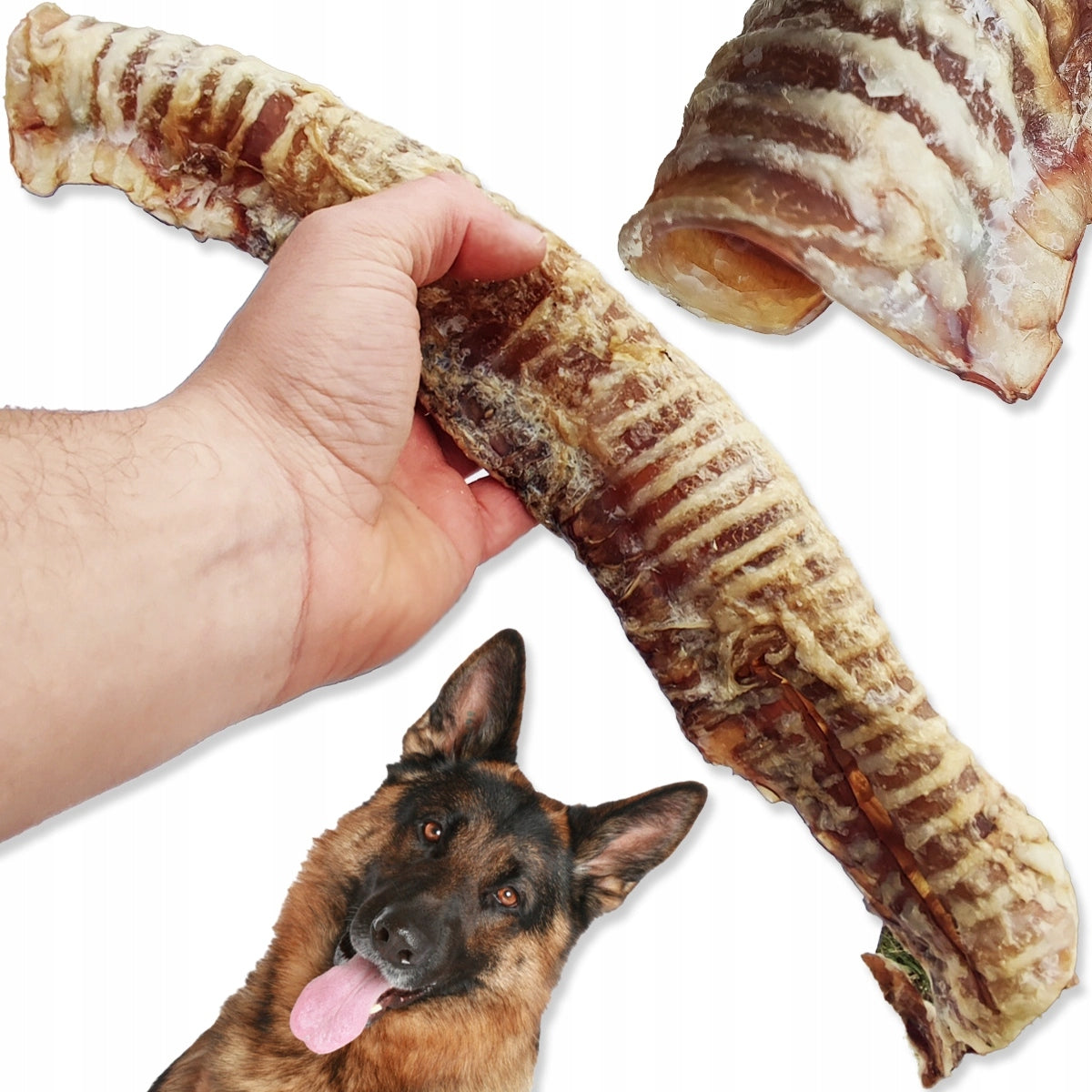 BEEF TRACHEA 30 CM Dog Teether PUPPY Dried Naturally 100% OX