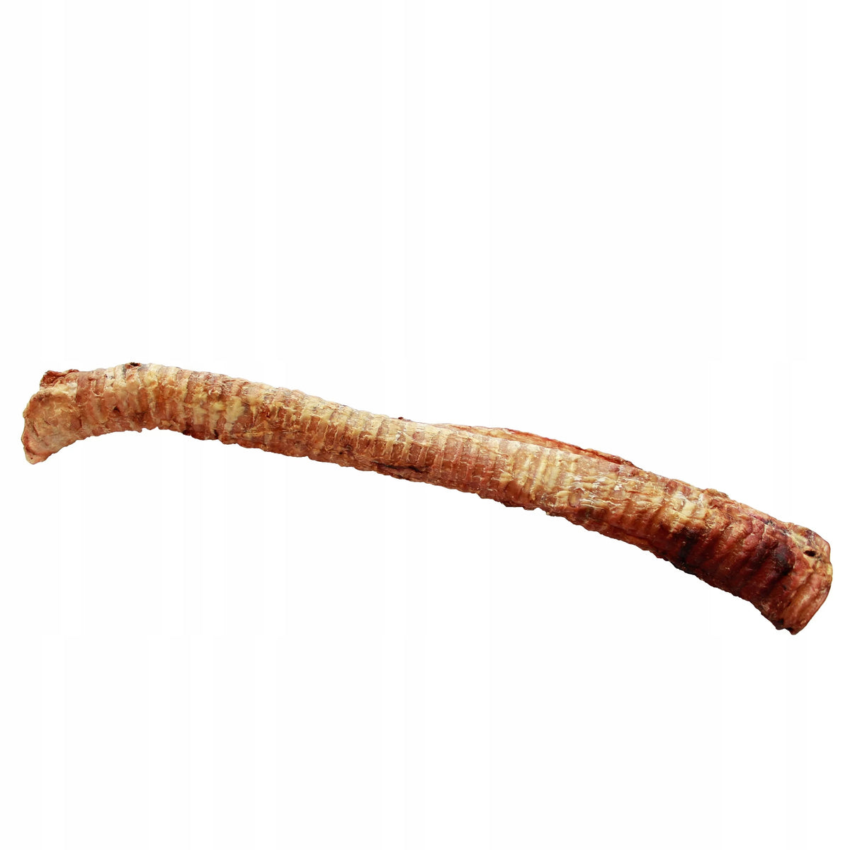 BEEF TRACHEA -XL- 1pc. approx.40cm. TEETHER
