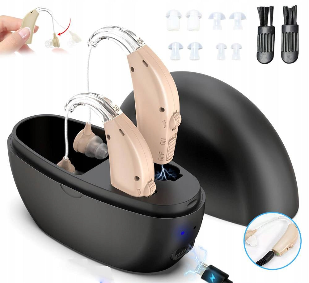 BEHIND-THE-EAR AND DIGITAL AMPLIFIER WITH NOISE REDUCTION FUNCTION, HEARING AMPLIFIERS