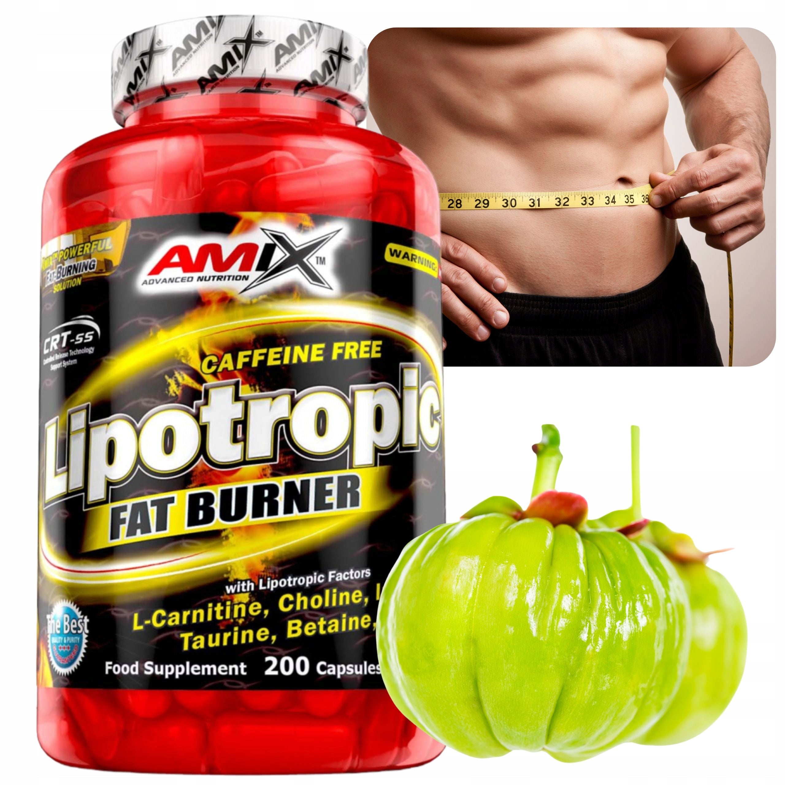 BELLY FAT BURNER Caffeine Free Lipotropic HCA CLA Choline Betaine