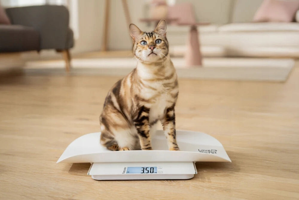 BEURER Polly pet scale Model Polly